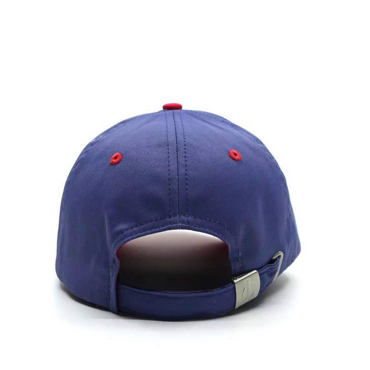 Blue & Purple Cap | 100% Recycled Material - Nubian Lane Hat Co.