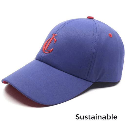 Blue & Purple Cap | 100% Recycled Material - Nubian Lane Hat Co.